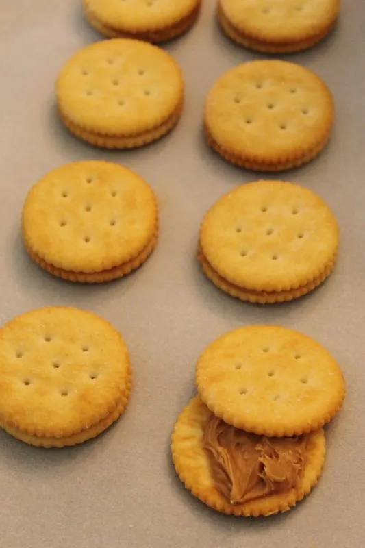 almond bark peanut butter patties (2)