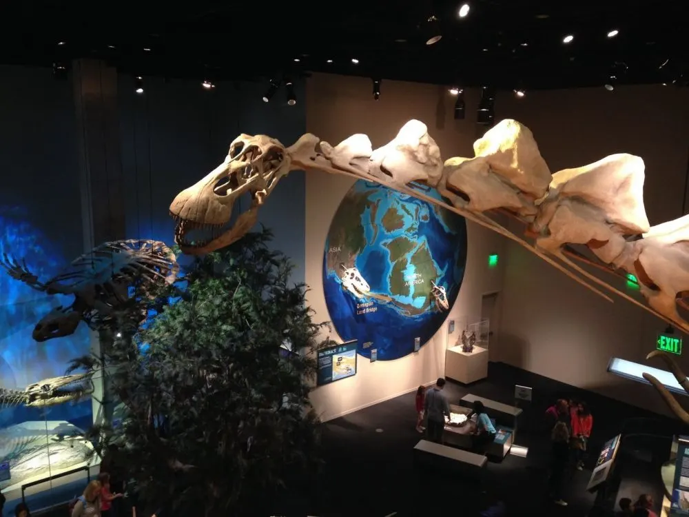 perot museum of science in dallas