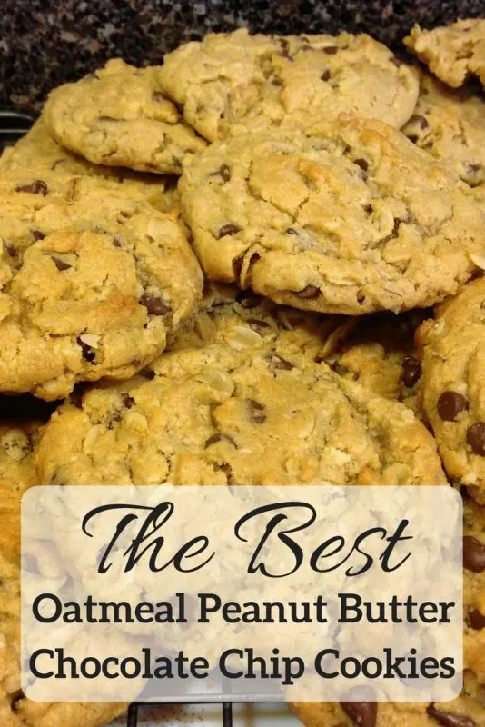 The best Oatmeal Peanut Butter Chocolate Chip Cookies recipe - Splendry