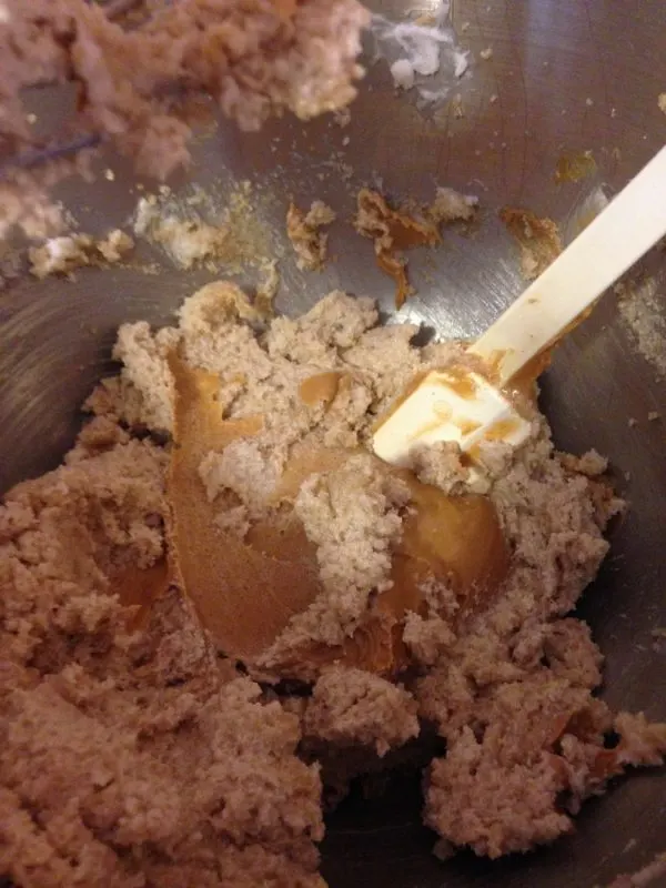 Oatmeal Peanut Butter Chocolate Chip Cookies recipe dough