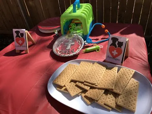 Veterinarian Birthday Party Theme Ideas 2- Splendry