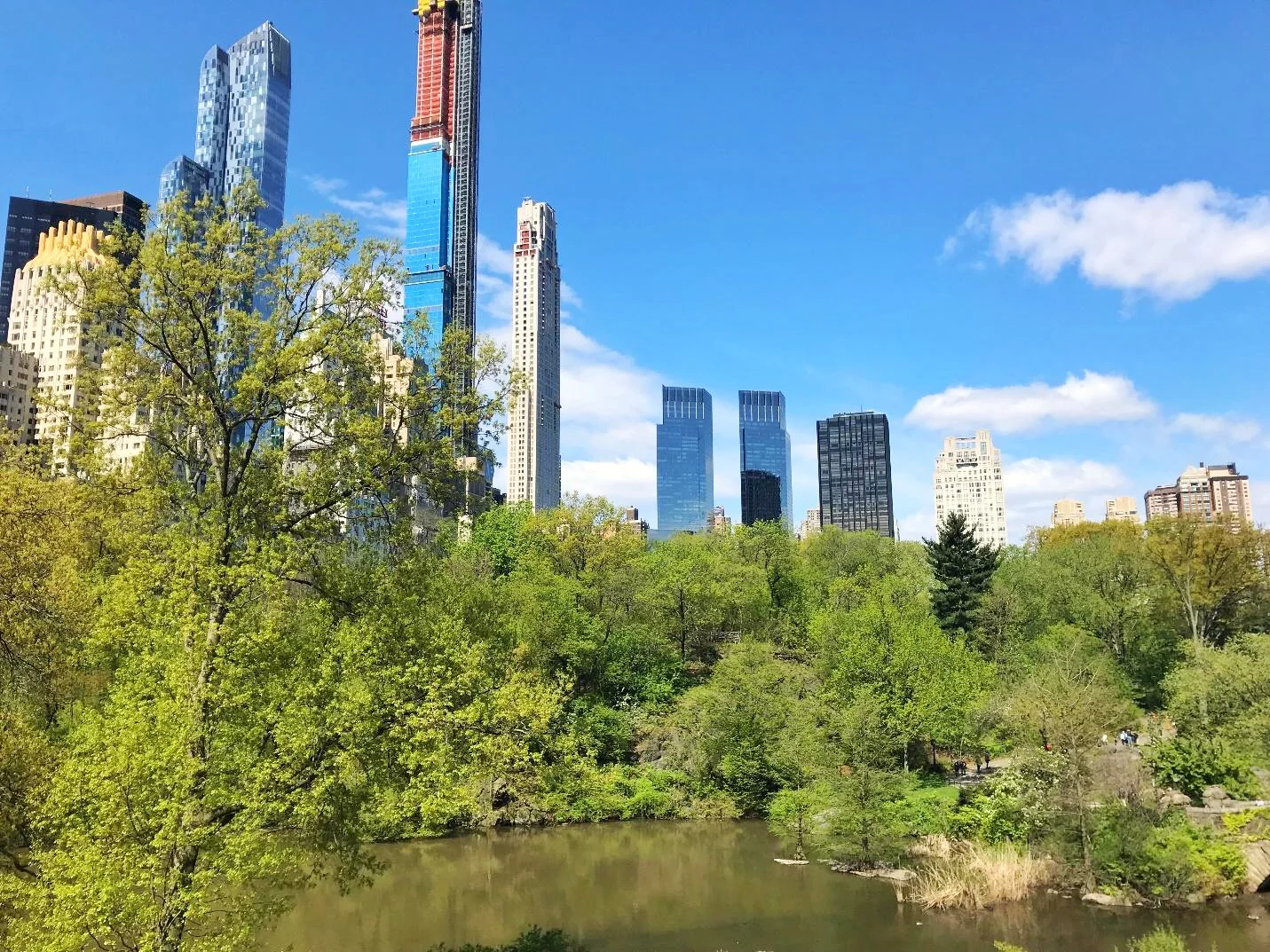 Central Park - NYC - Splendry