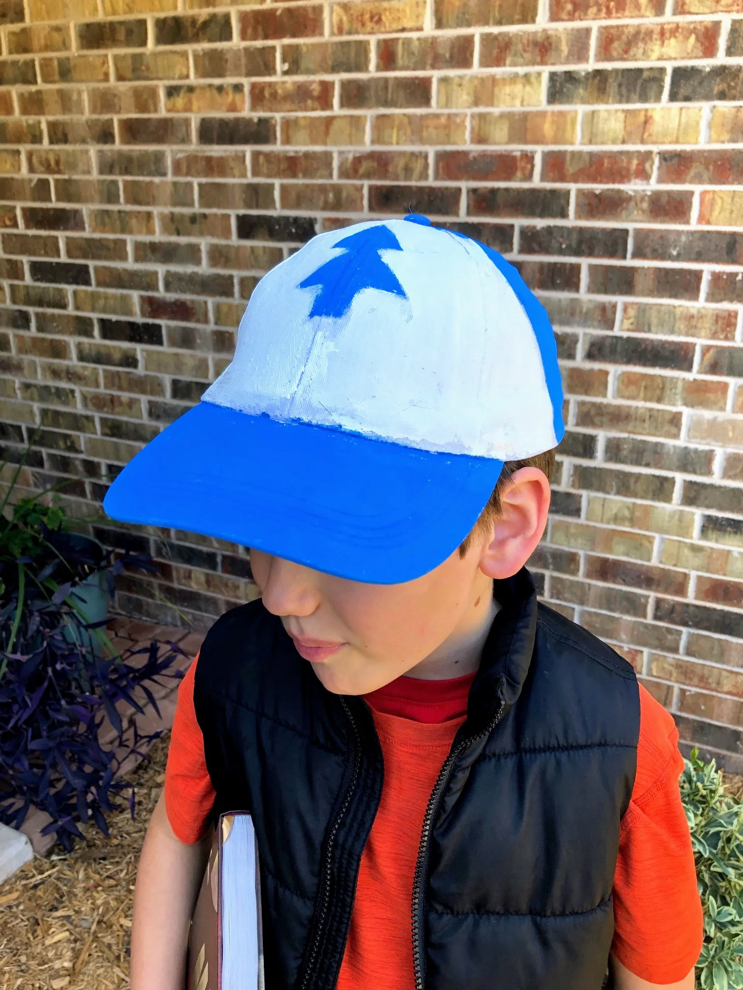 easy costume ideas - Gravity Falls