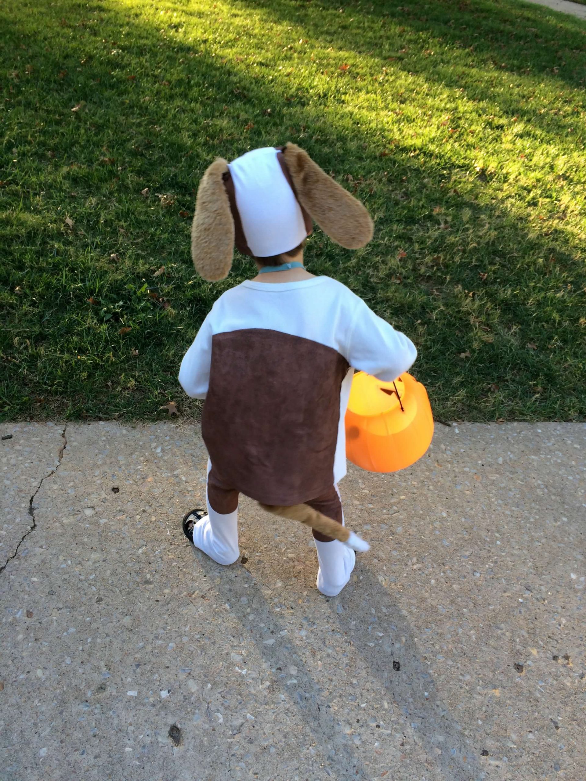 easy diy costumes - puppy costume