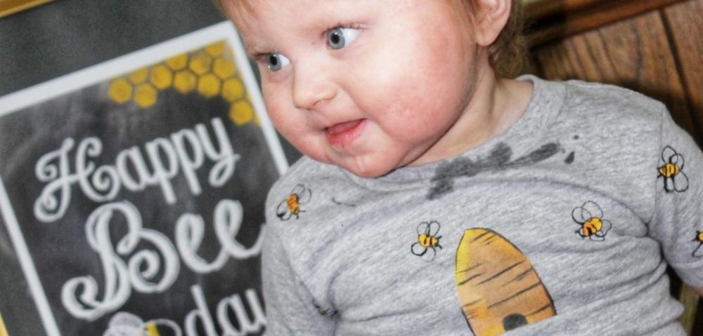 happy bee day party