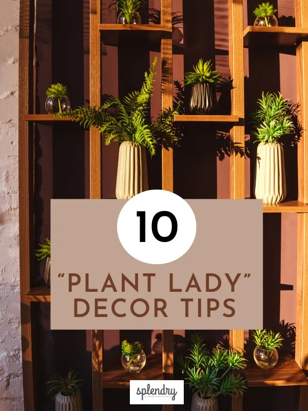 10 plant lady decor tips